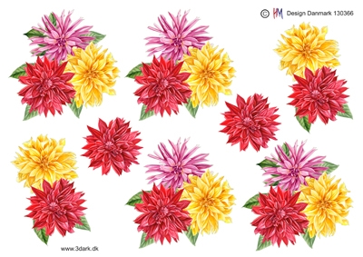 3D Blomster i stærke farver