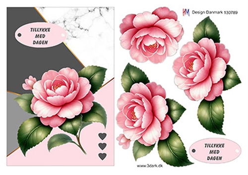 3D Flot lyserød rose A5