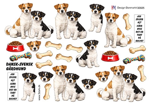 3D Dansk Svensk gårdhund