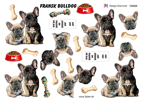 3D Fransk bulldog