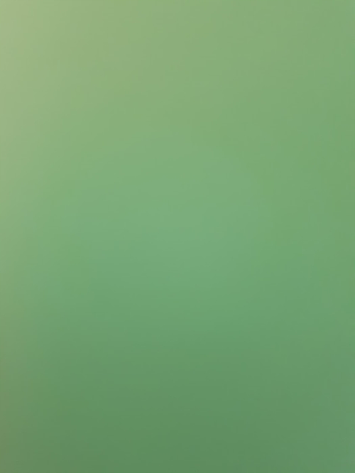  Folie mørke grøn 9,7x22,5cm selvklæbende